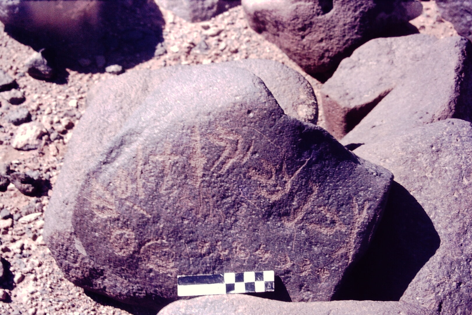 inscription of siglum CSNS 909