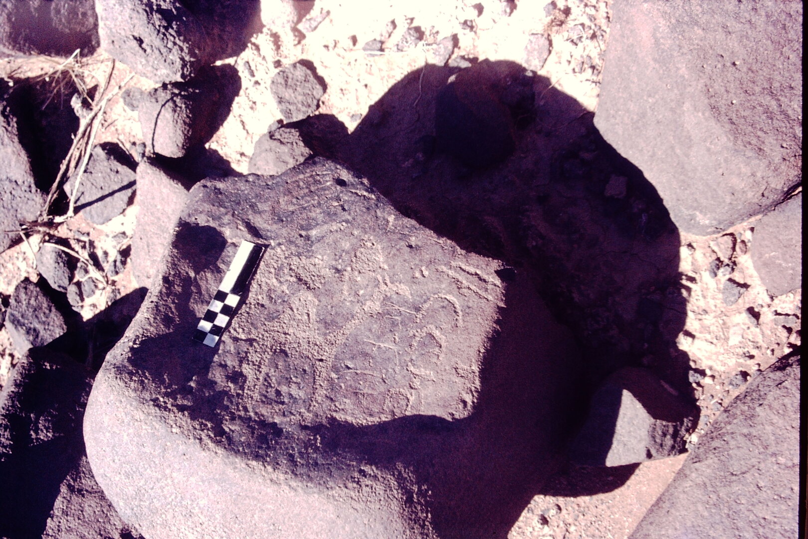 inscription of siglum CSNS 917