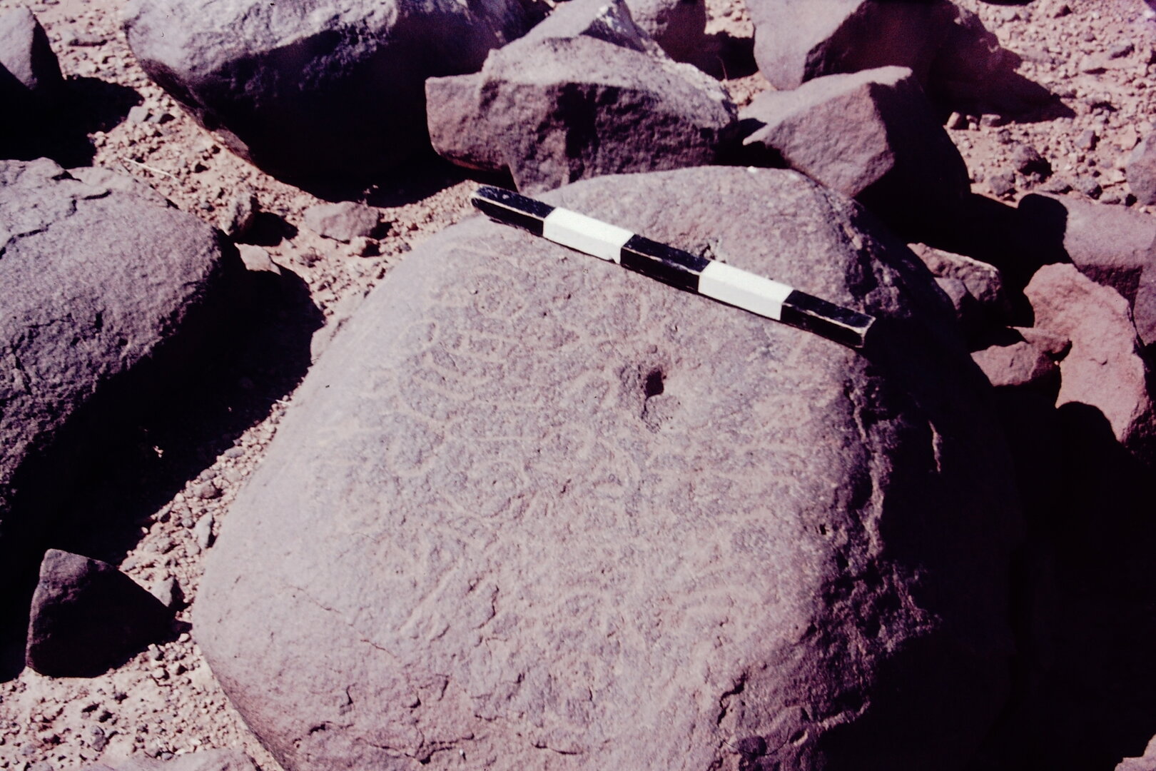 inscription of siglum CSNS 919