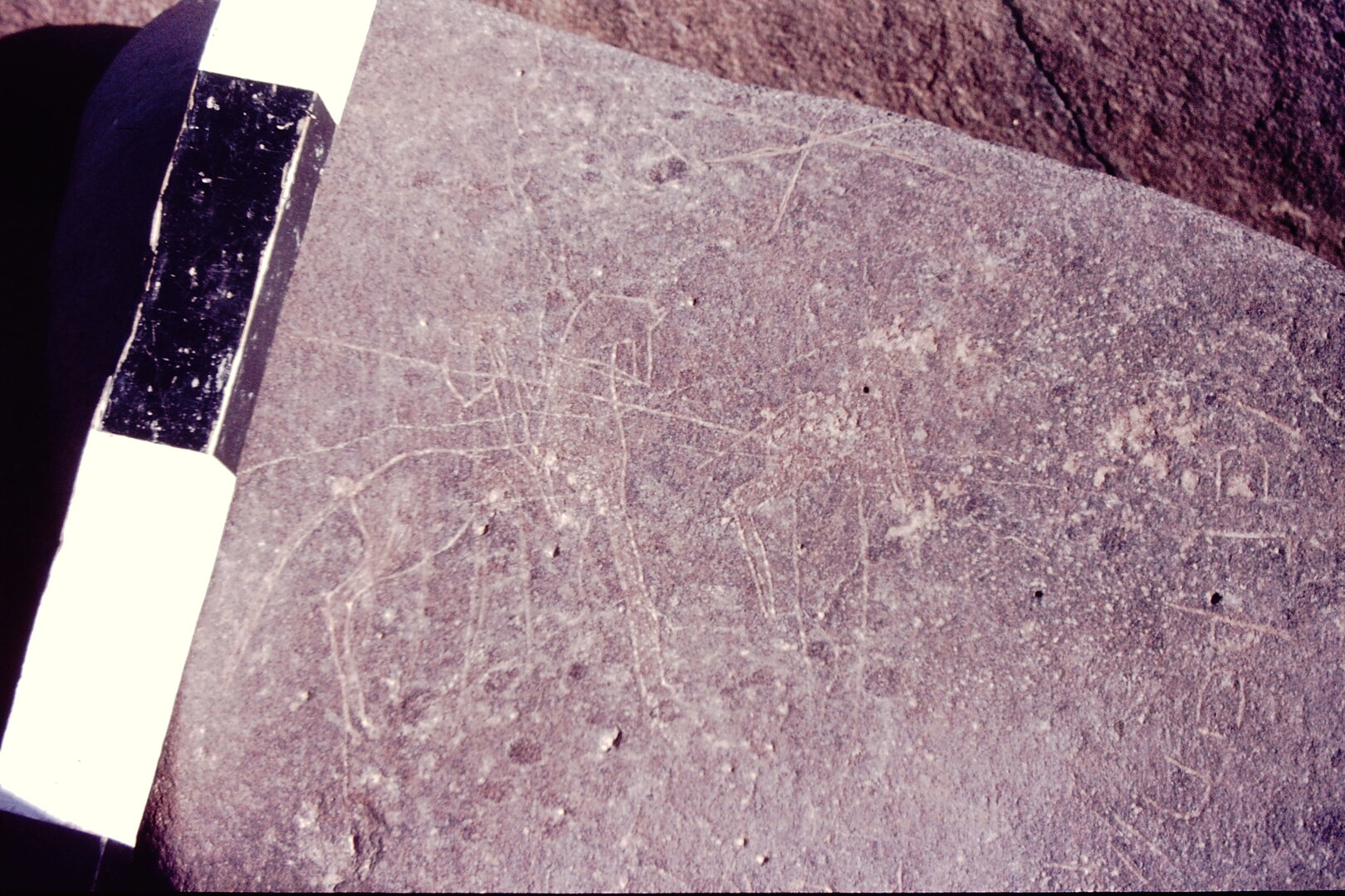 inscription of siglum CSNS 972