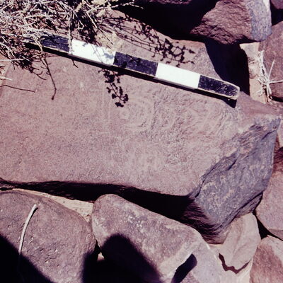 inscription of siglum CSNS 984