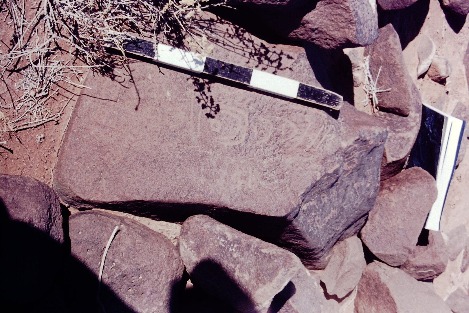 inscription of siglum CSNS 984