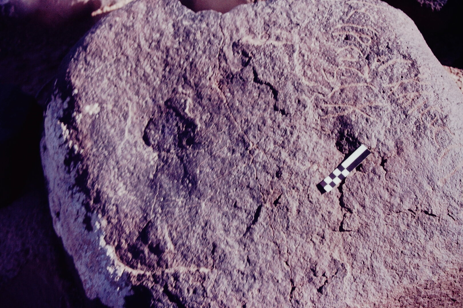 inscription of siglum CSNS 989