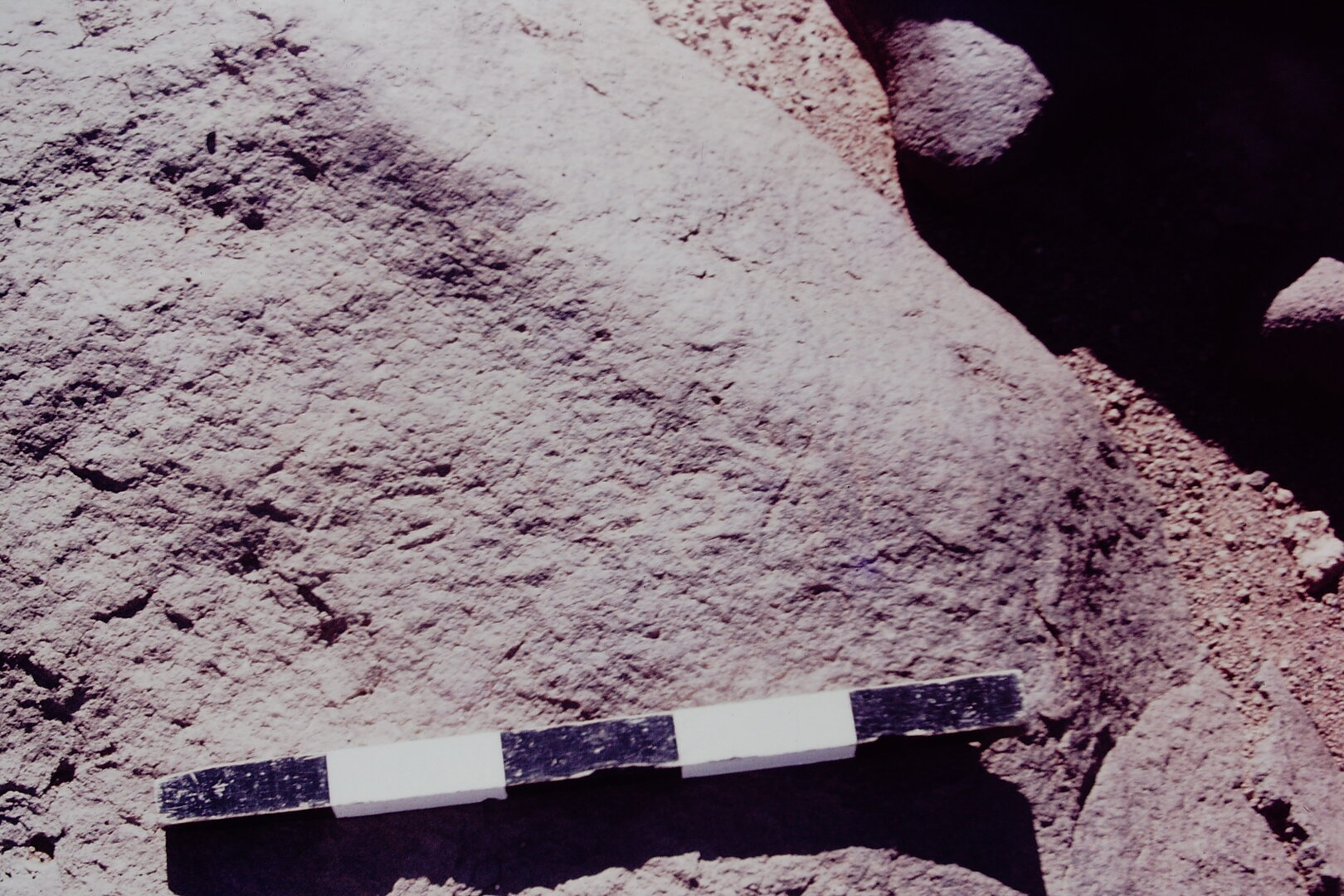 inscription of siglum CSNS 990