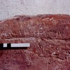 inscription of siglum CTSS 3