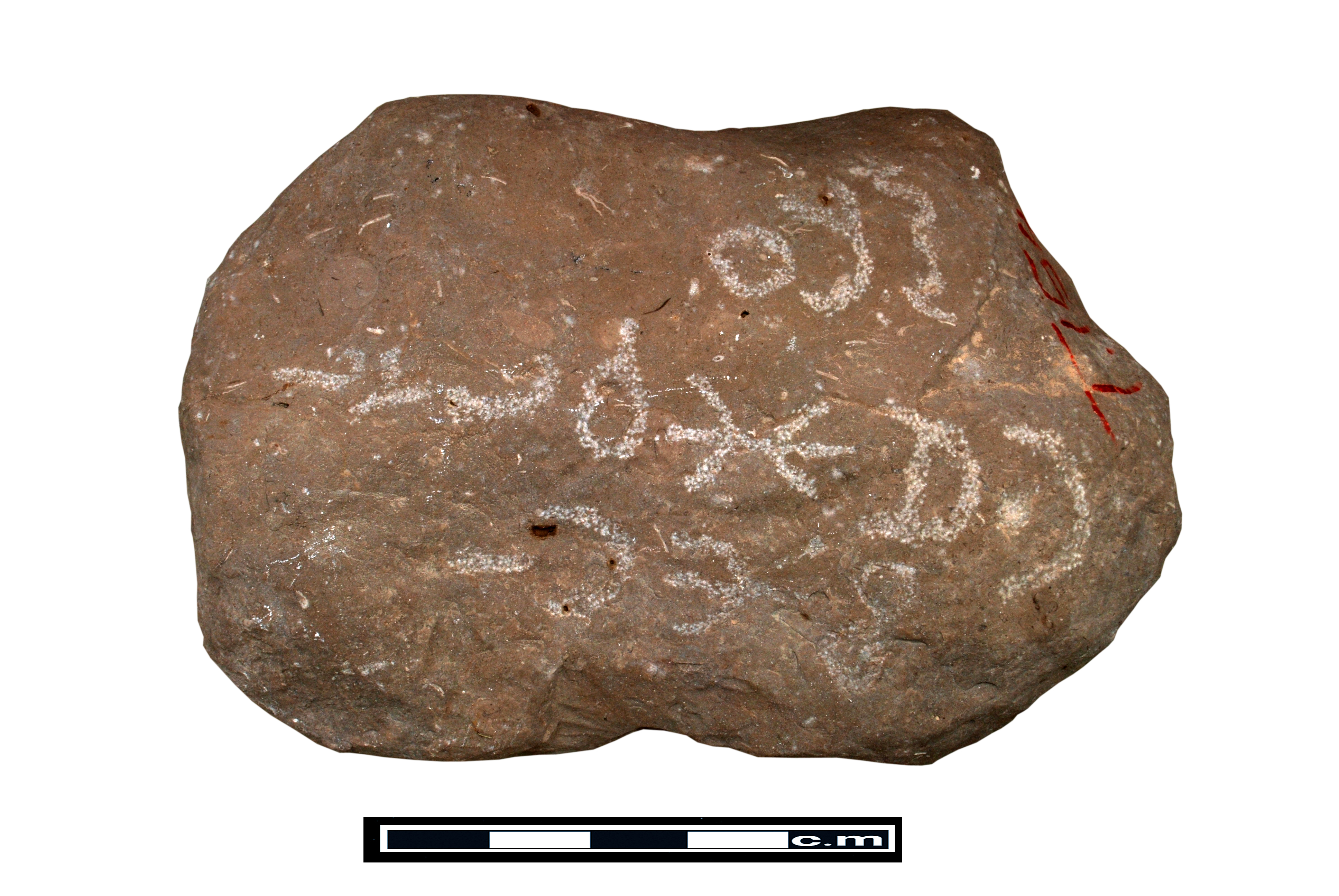 Image of DJJ 1