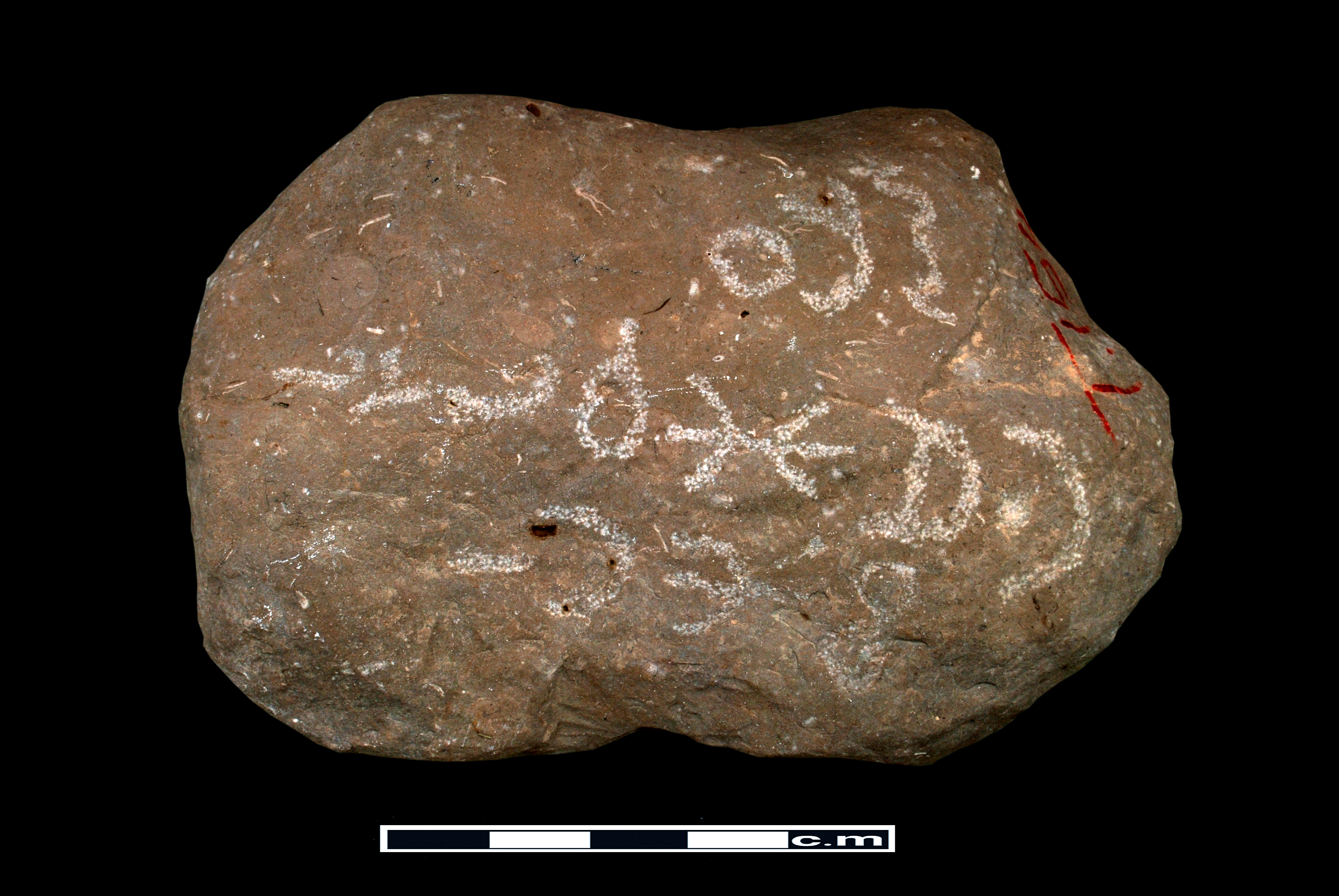 Image of DJJ 1