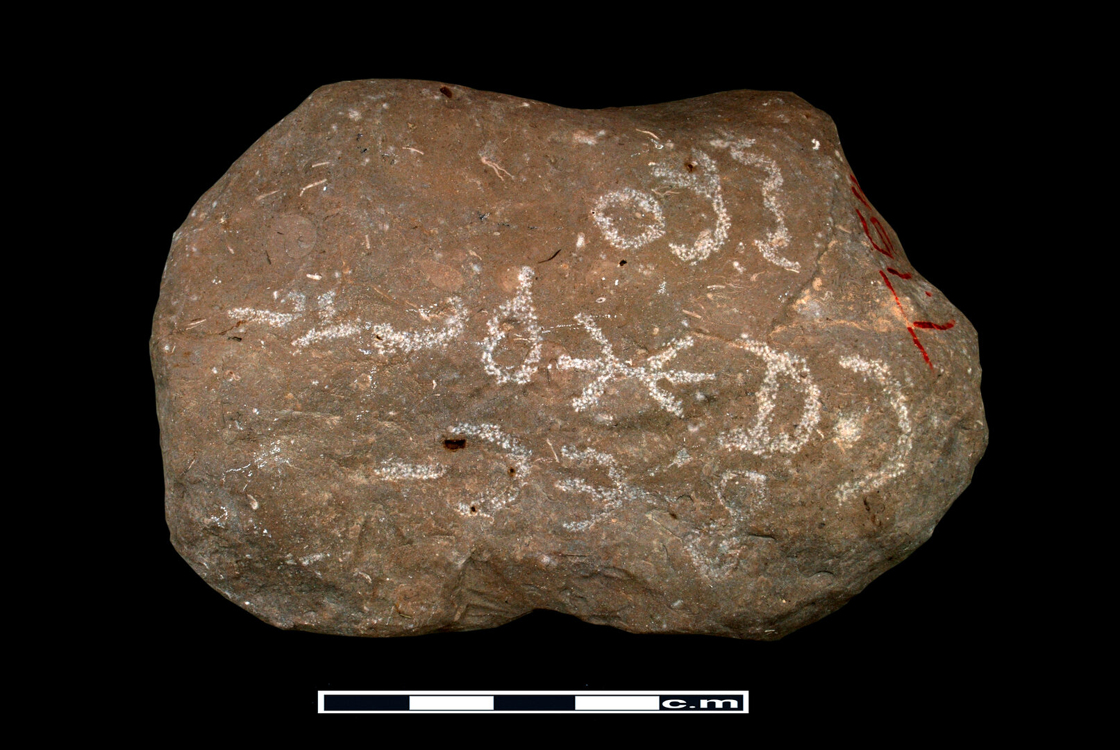 Image of DJJ 1
