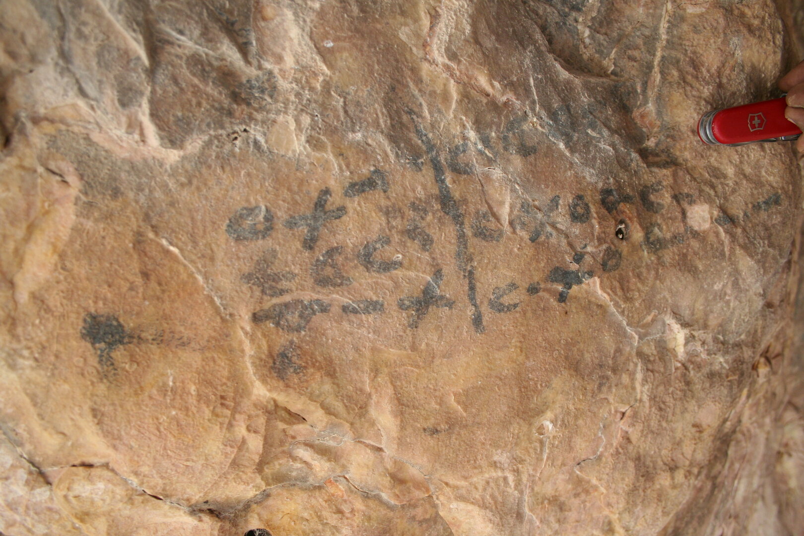 Image of DS_47_1
