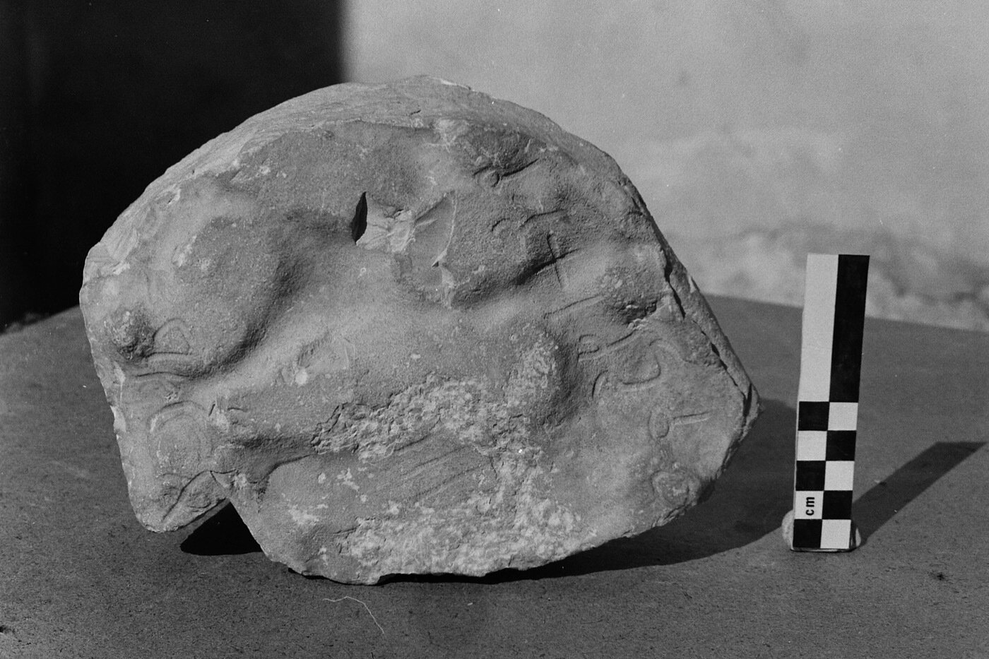 inscription of siglum Damascus Museum 17747+17750.2