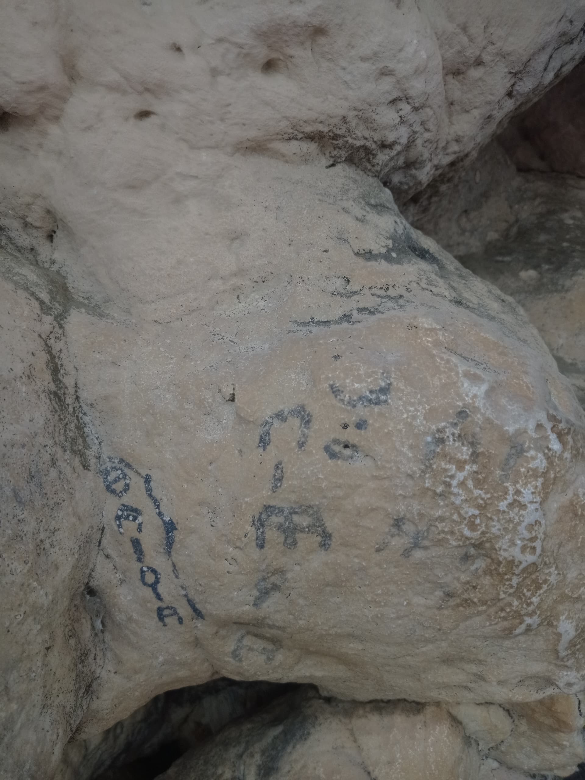 Image of DhSh 3
