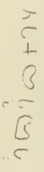 inscription of siglum Do, Pl. XXVI, 49, 5