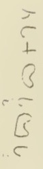 inscription of siglum Do, Pl. XXVI, 49, 5