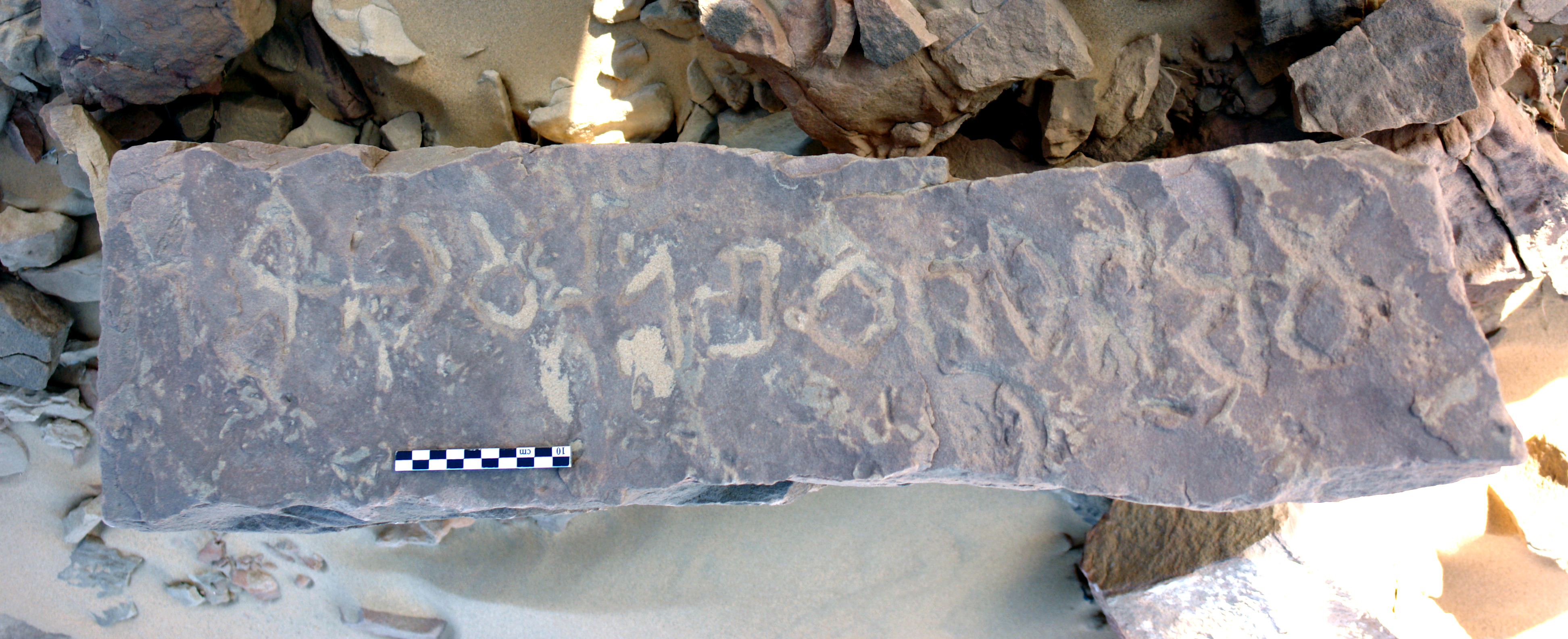 inscription of siglum ELHT Ṭuwayyil Saʿīd Tay 1