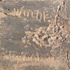 inscription of siglum ELHT Al-Mušayrifah Tay 1