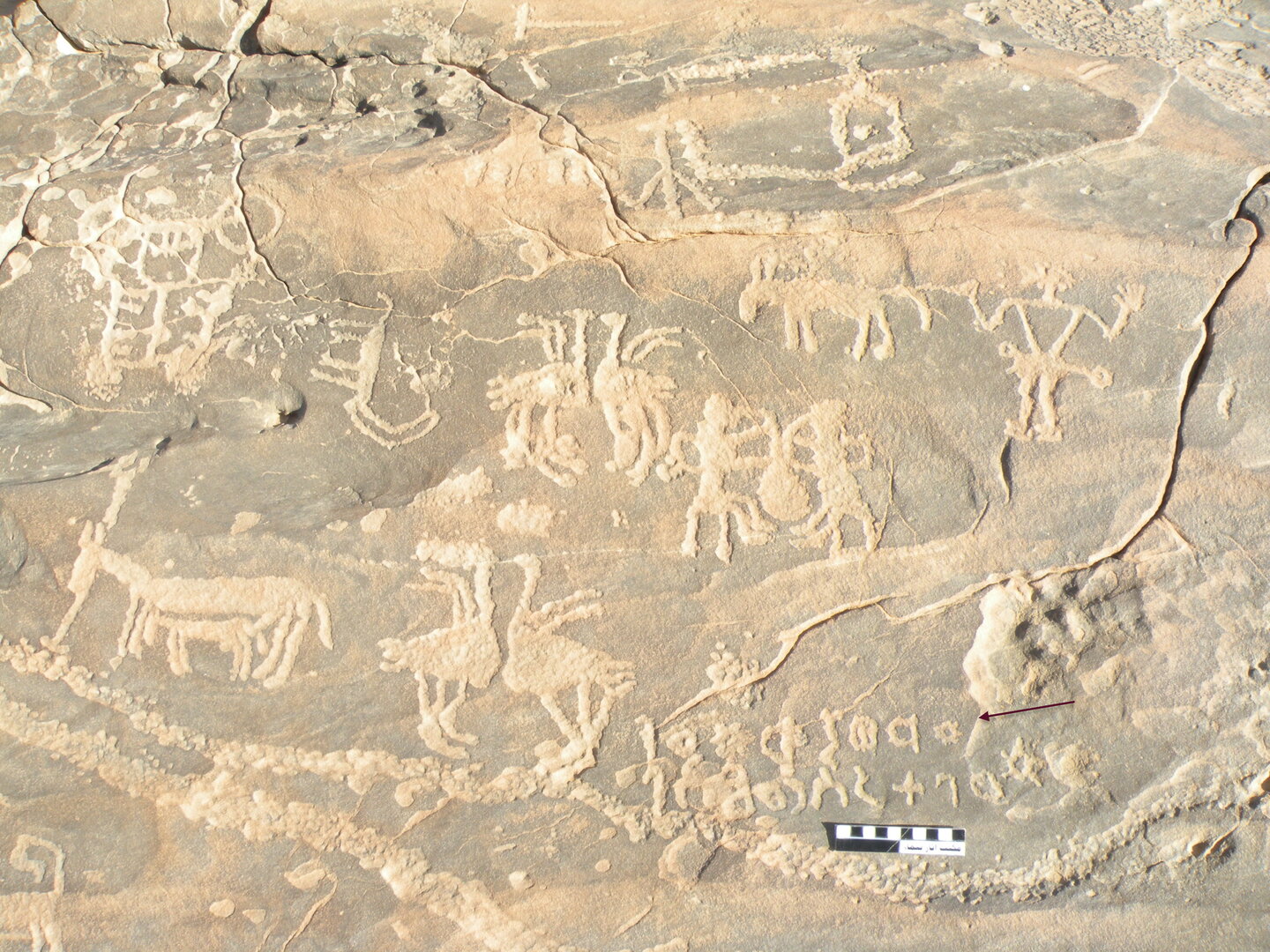 inscription of siglum ELHT Al-Mušayrifah Tay 3