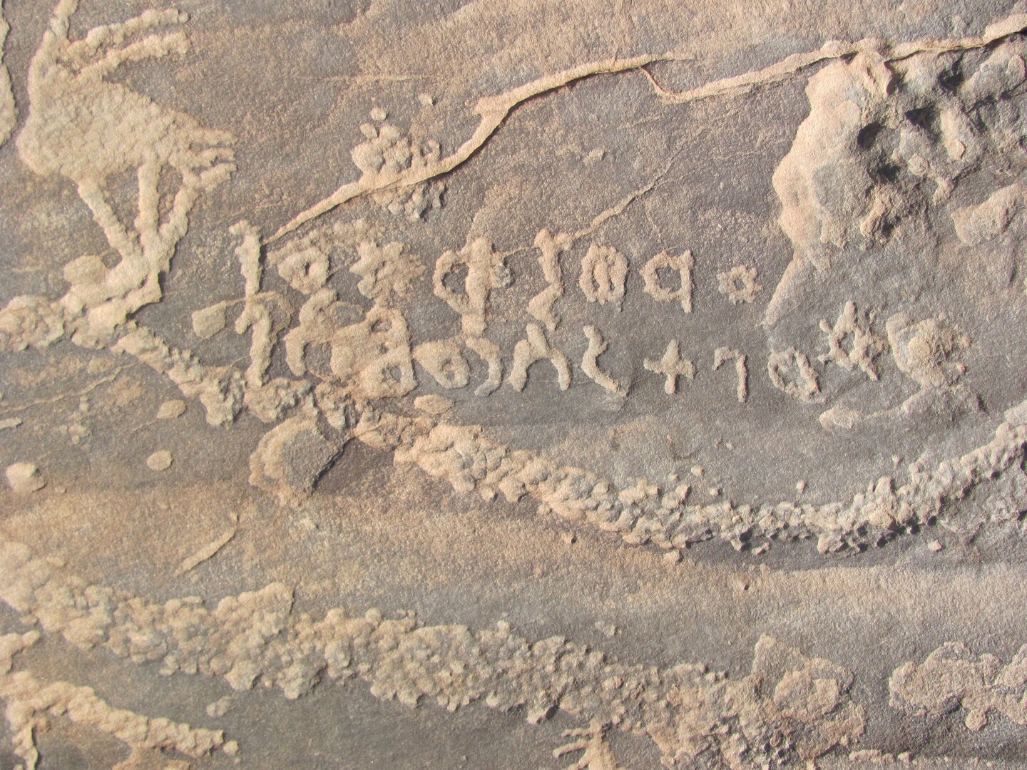 inscription of siglum ELHT Al-Mušayrifah Tay 3