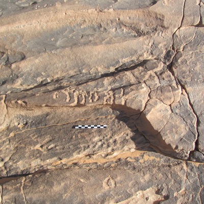 inscription of siglum ELHT Al-Mušayrifah Tay 4