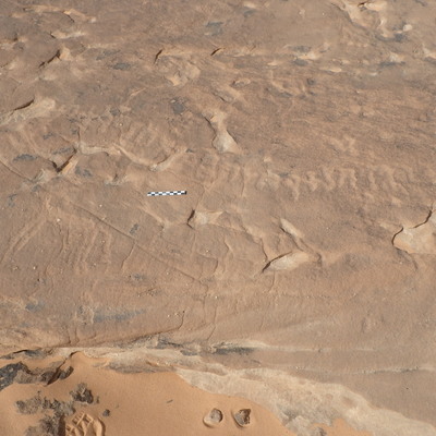 inscription of siglum ELHT Al-Muqāyil.1 Tay 04