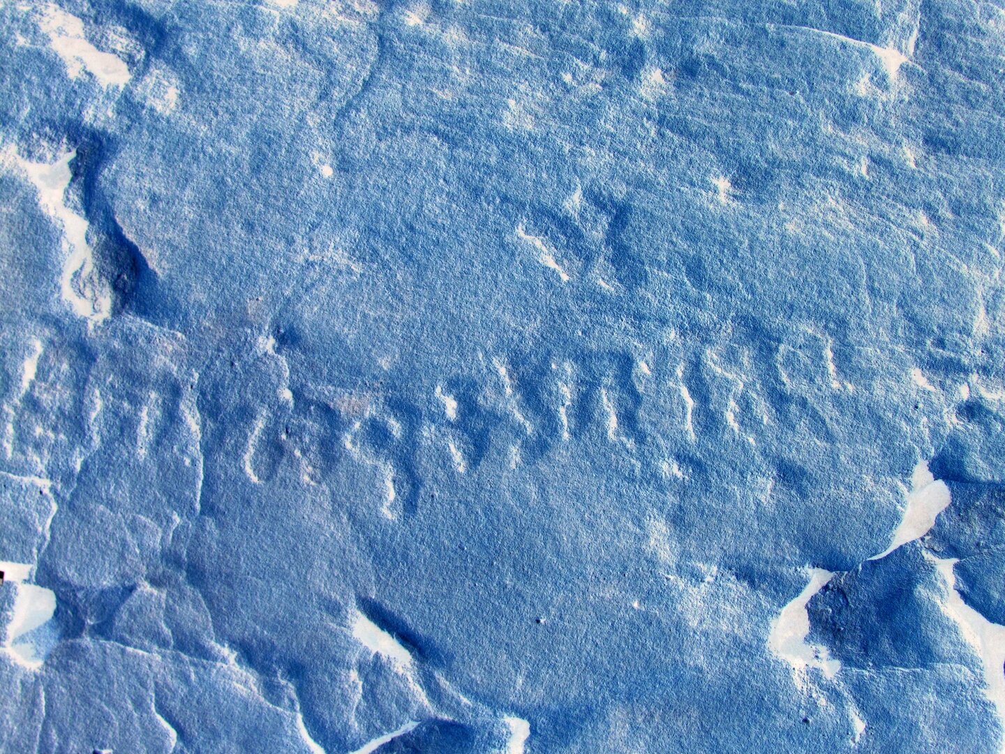 inscription of siglum ELHT Al-Muqāyil.1 Tay 04