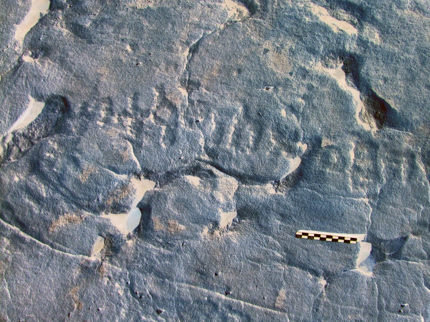 inscription of siglum ELHT Al-Muqāyil.1 Tay 04
