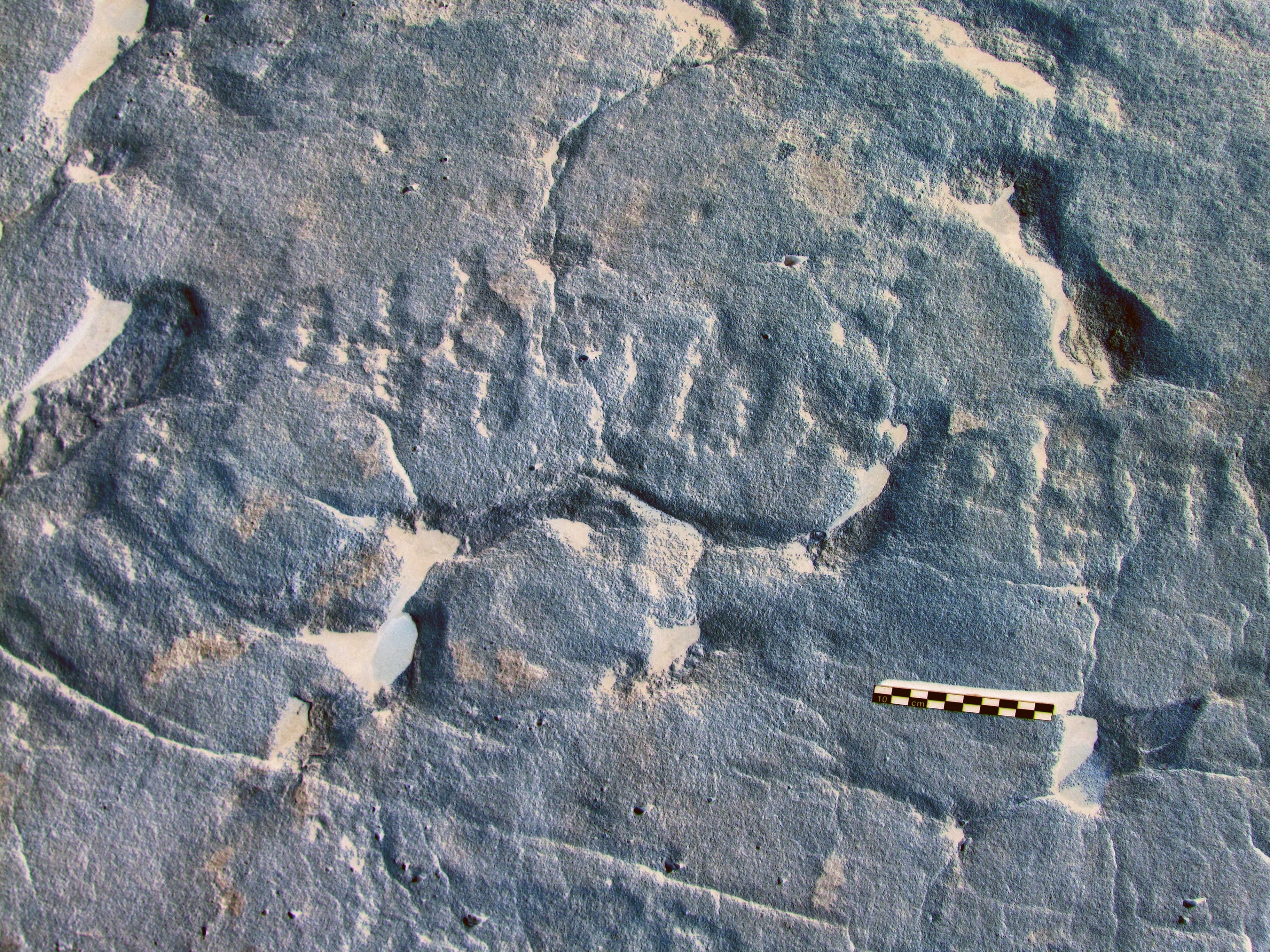 inscription of siglum ELHT Al-Muqāyil.1 Tay 04