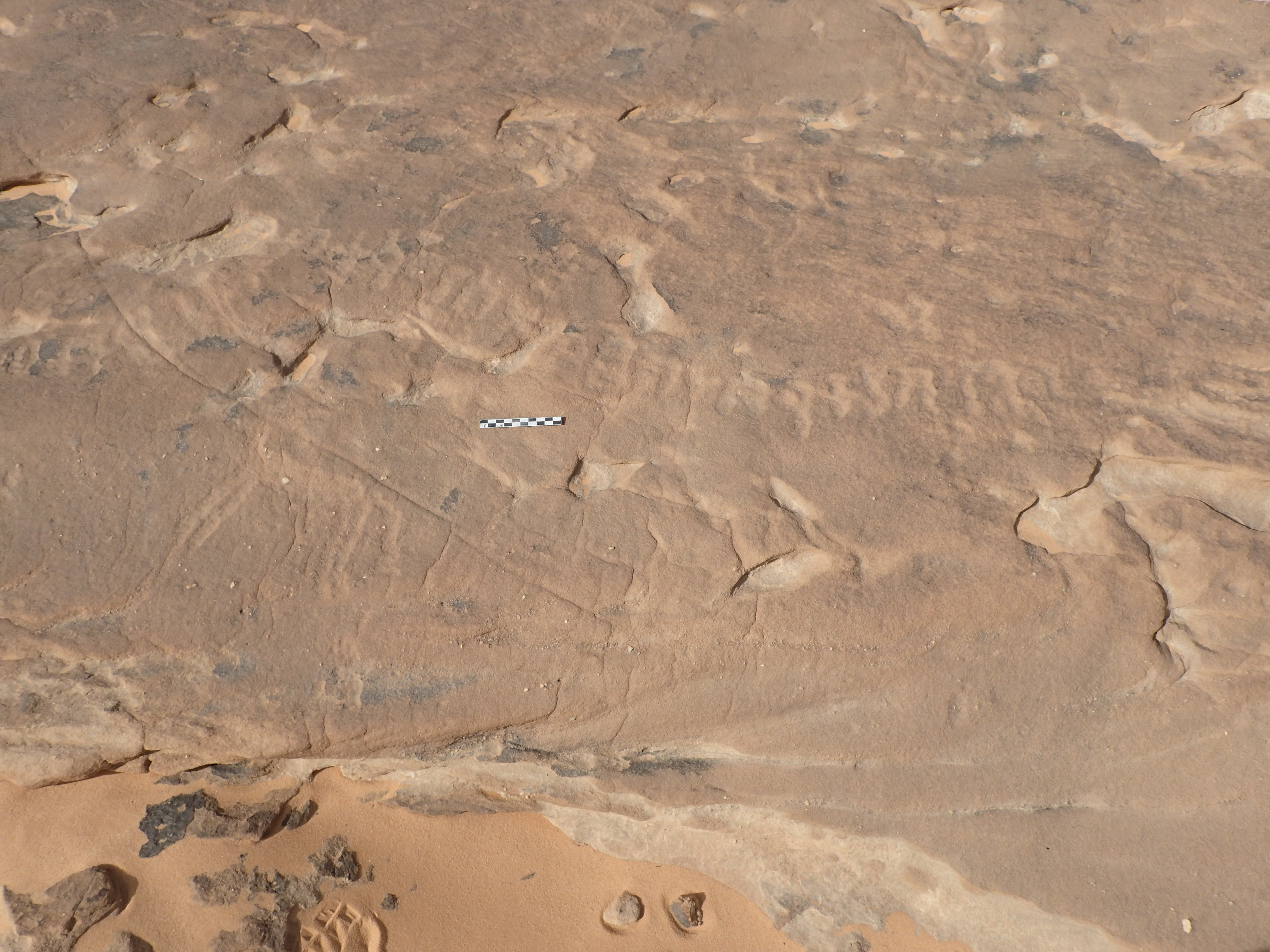 inscription of siglum ELHT Al-Muqāyil.1 Tay 04
