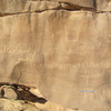 inscription of siglum ELHT Al-Muqāyil.1 Tay 1