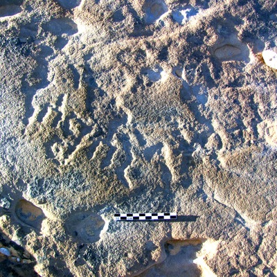inscription of siglum ELHT Al-Muqāyil.1 Tay 2