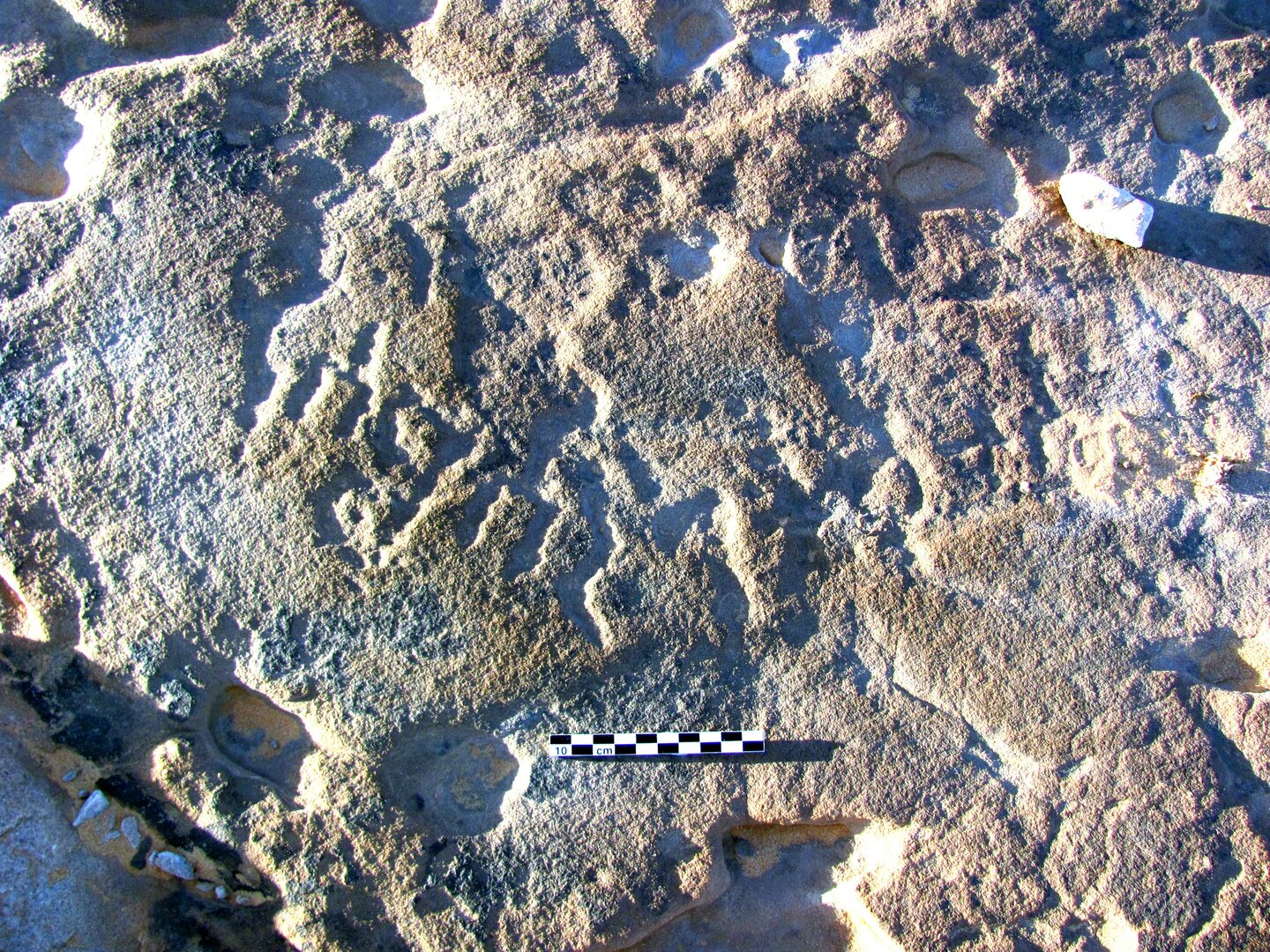 inscription of siglum ELHT Al-Muqāyil.1 Tay 2