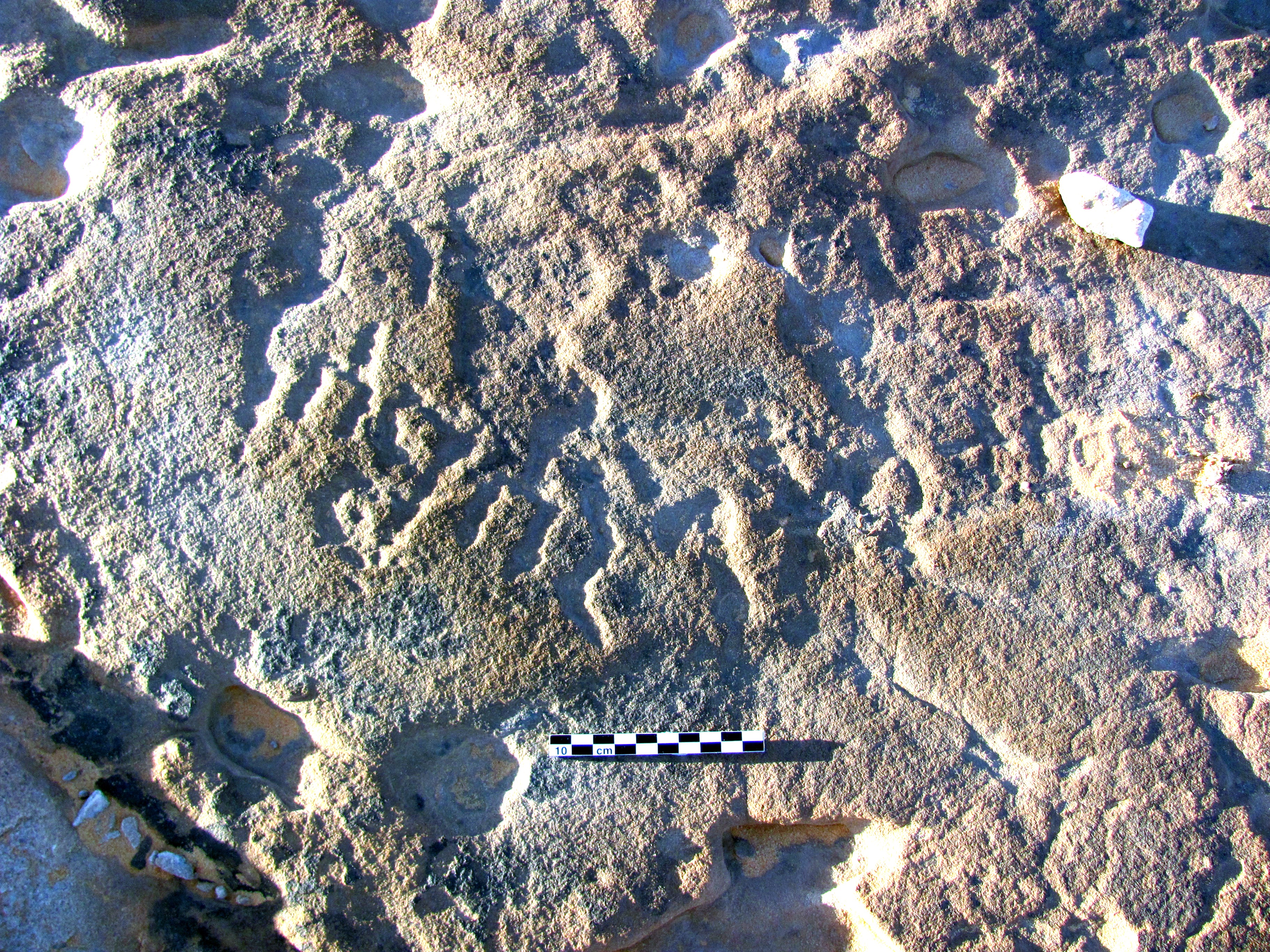 inscription of siglum ELHT Al-Muqāyil.1 Tay 2