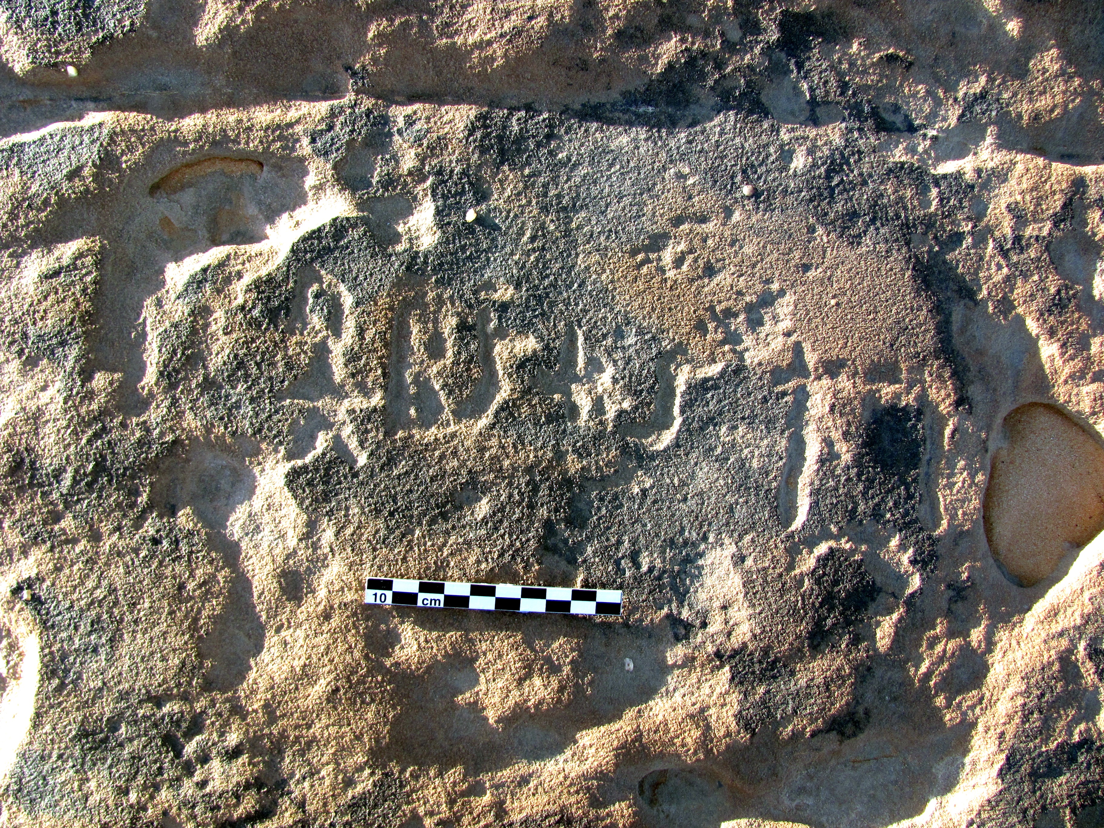 inscription of siglum ELHT Al-Muqāyil.1 Tay 3