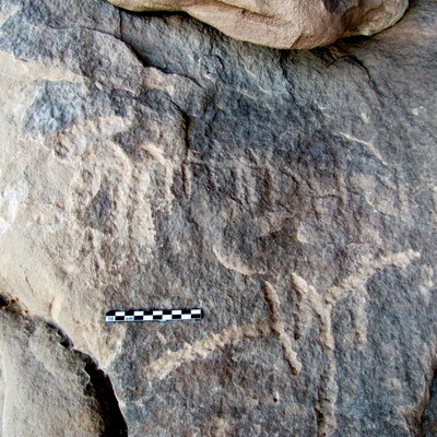 inscription of siglum ELHT Al-Muqāyil.1 Tay 7