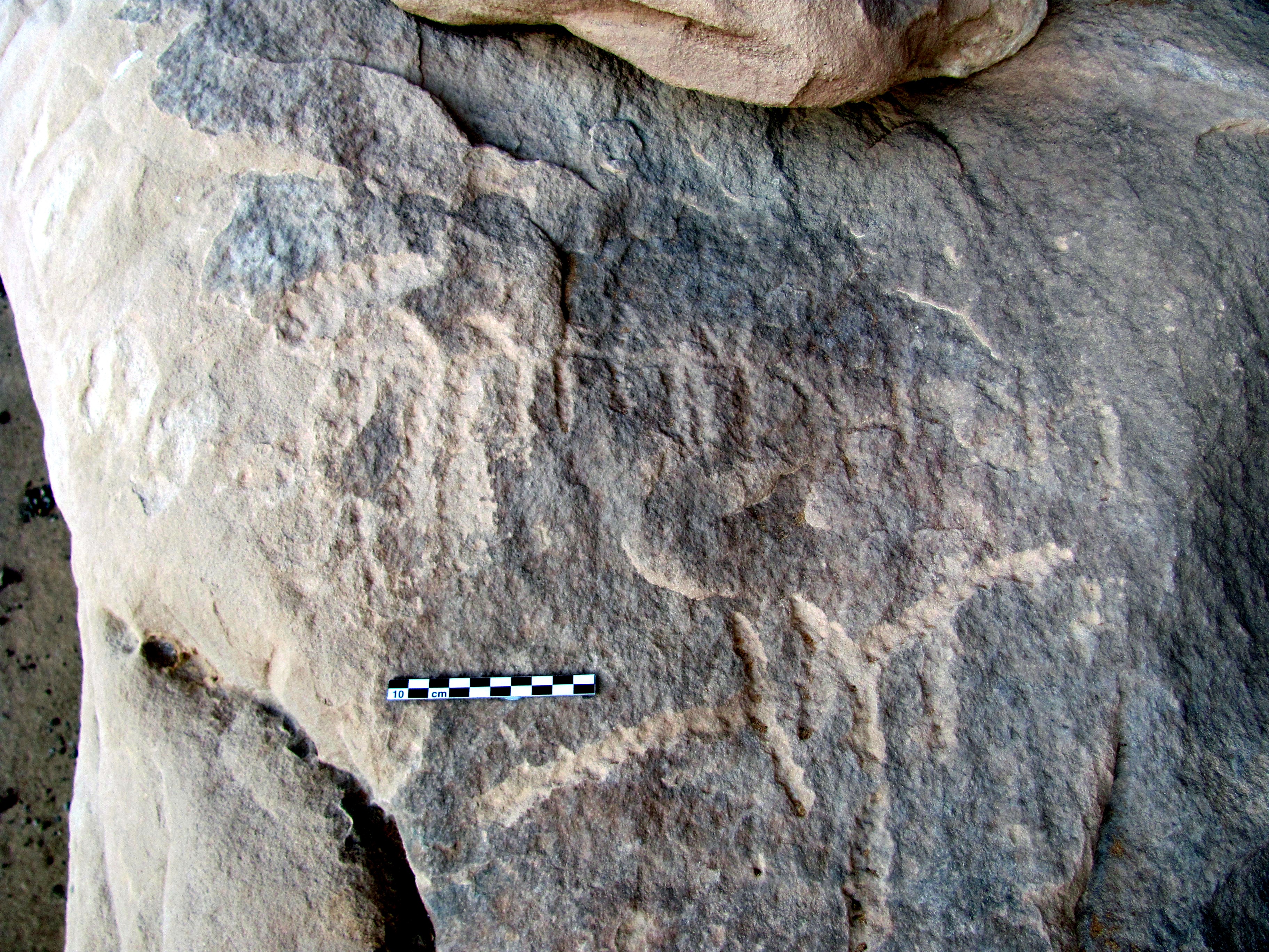inscription of siglum ELHT Al-Muqāyil.1 Tay 7