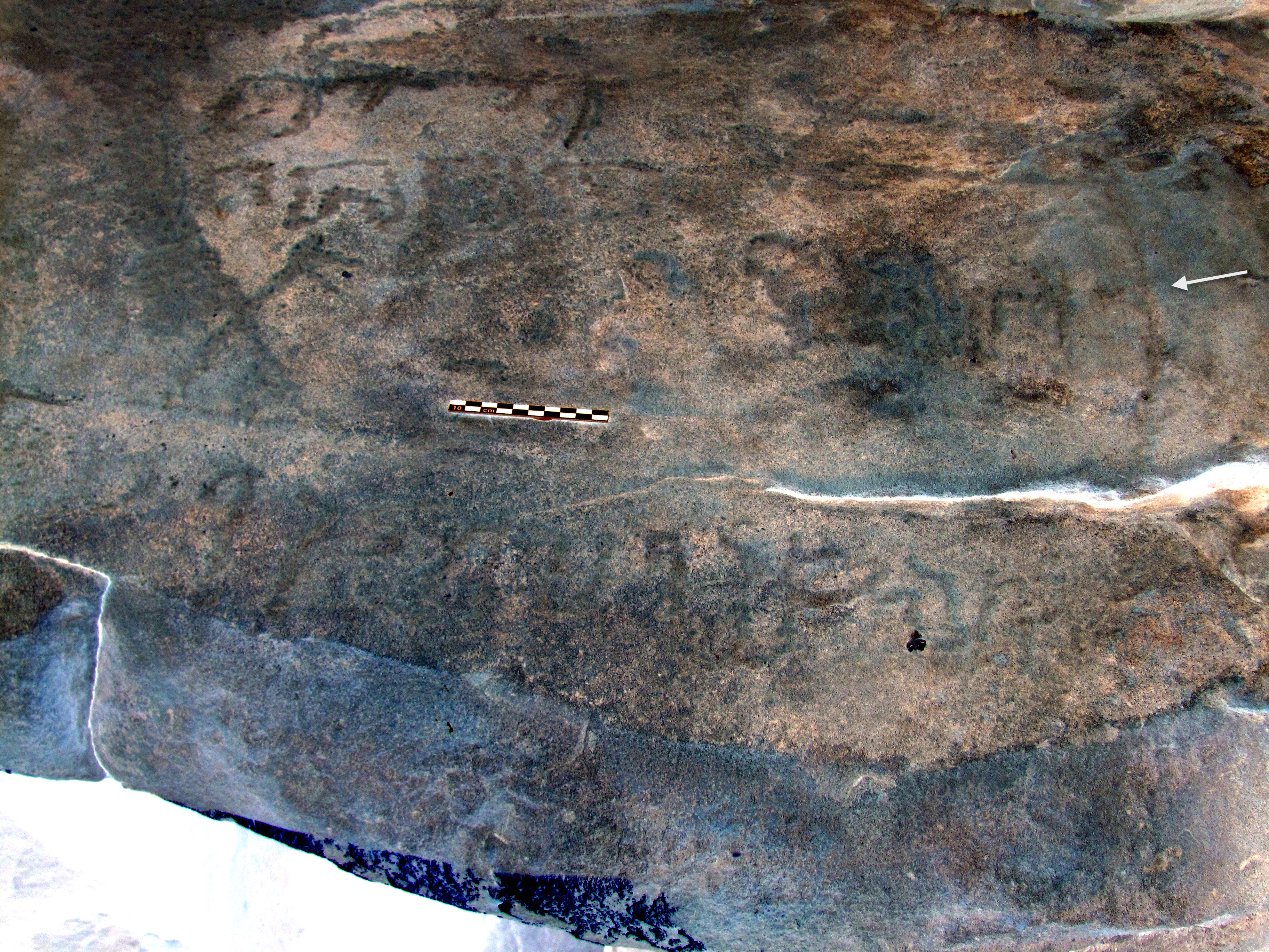 inscription of siglum ELHT Al-Muqāyil.1 Tay 8