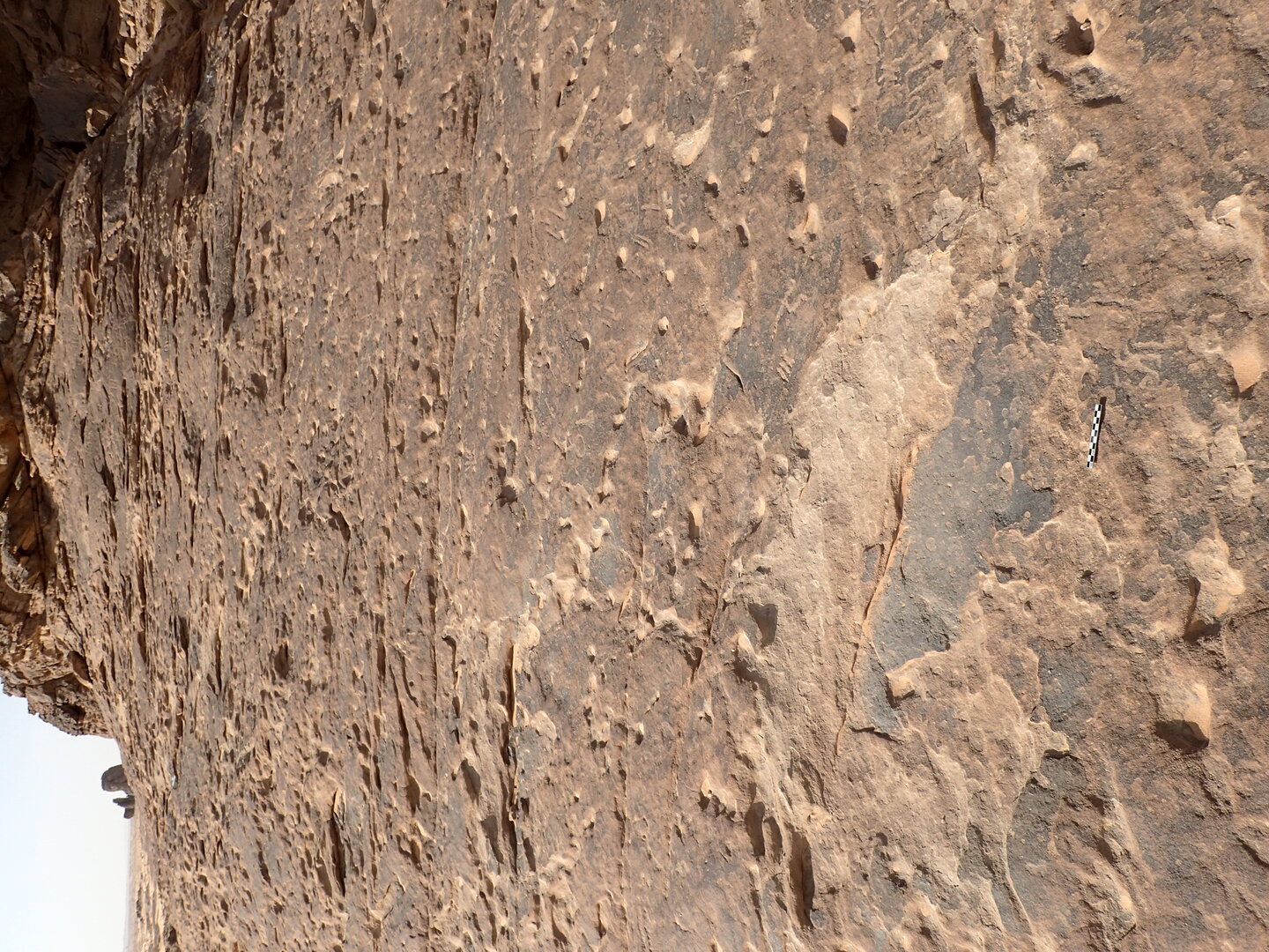 inscription of siglum ELHT Al-Muqāyil.2 Tay 03