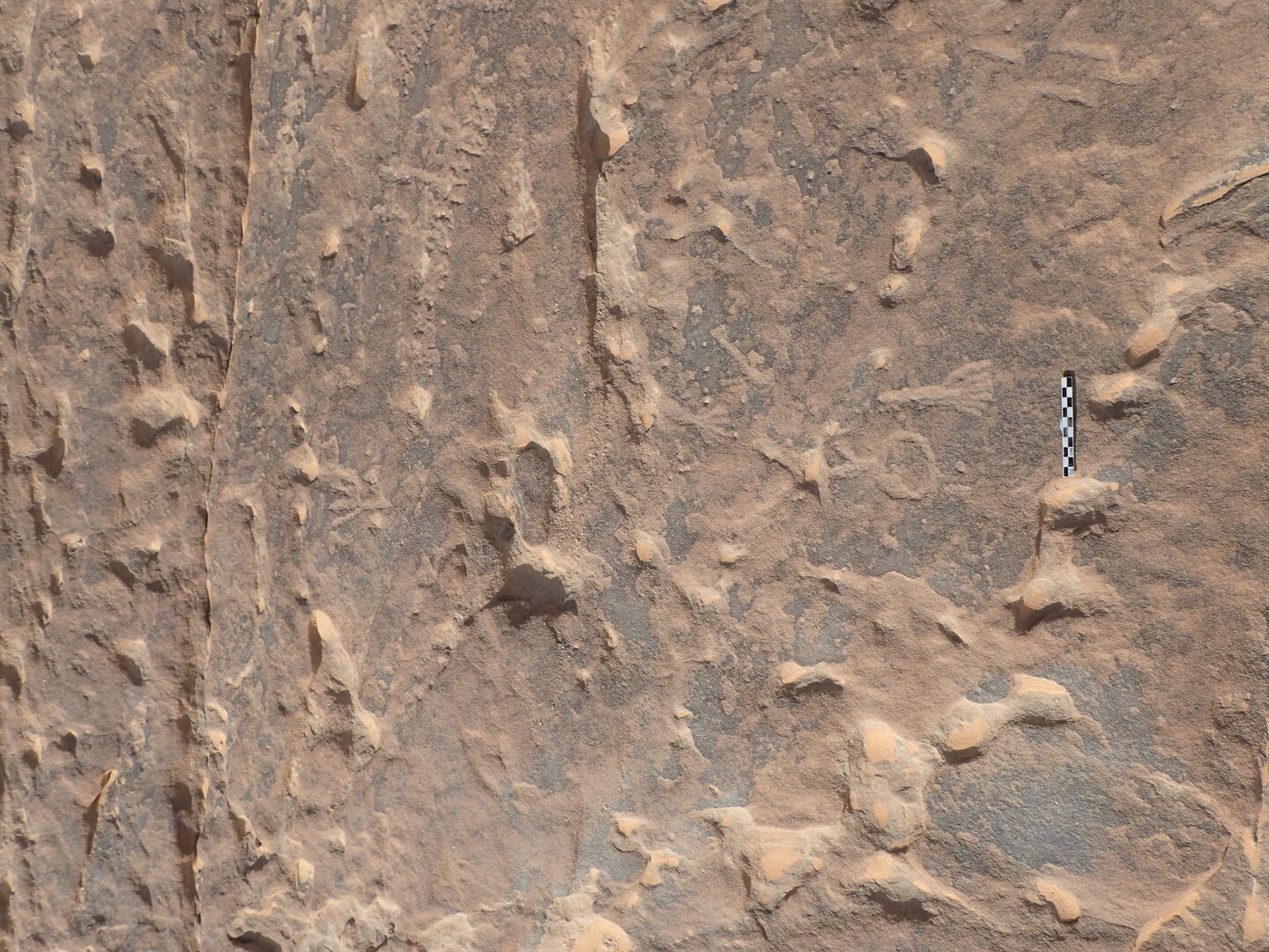 inscription of siglum ELHT Al-Muqāyil.2 Tay 03