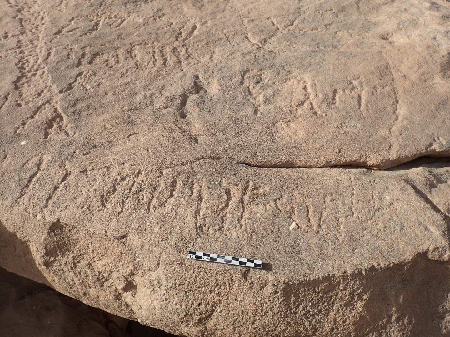 inscription of siglum ELHT Al-Muqāyil.2 Tay 04