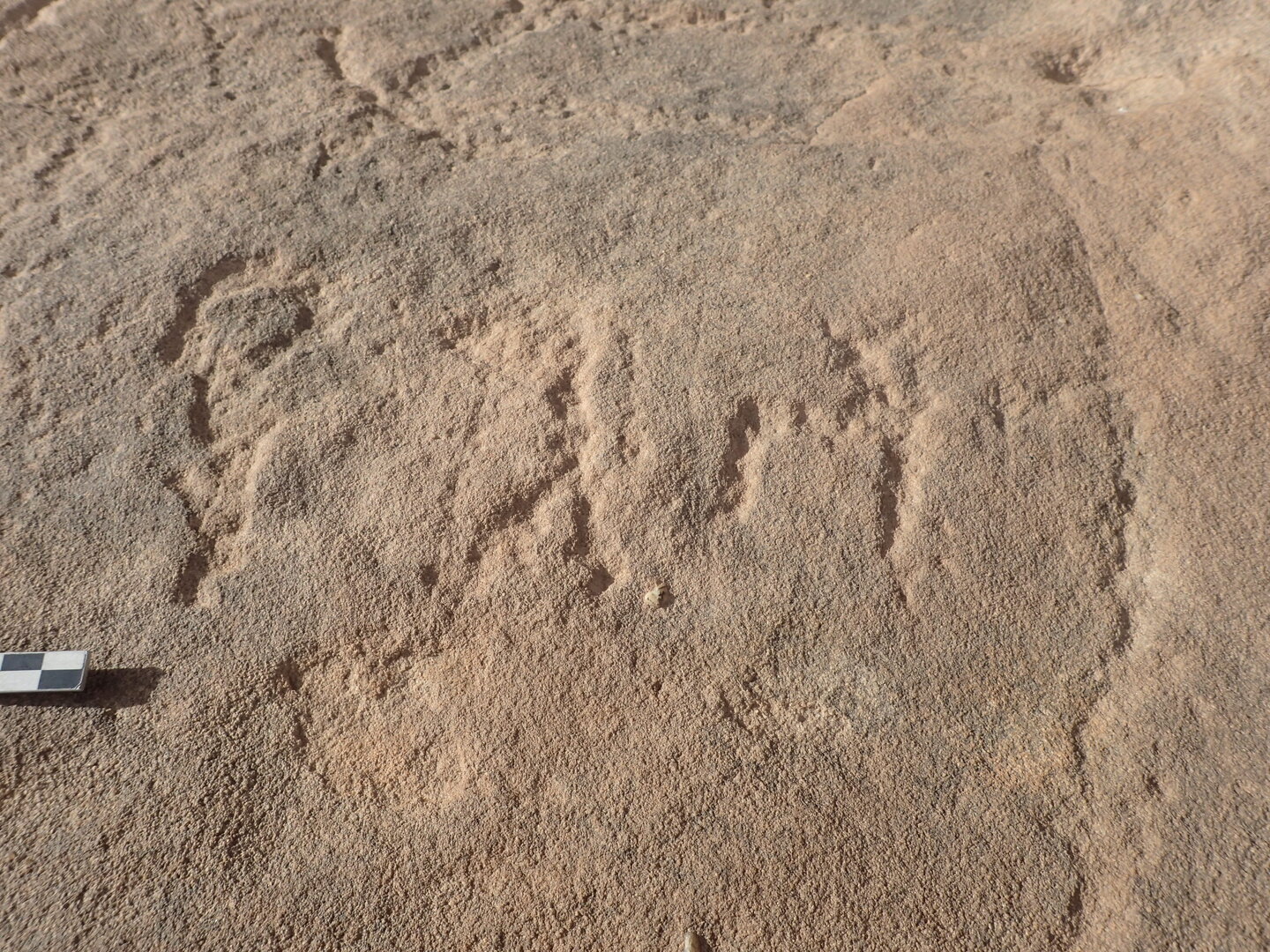 inscription of siglum ELHT Al-Muqāyil.2 Tay 04