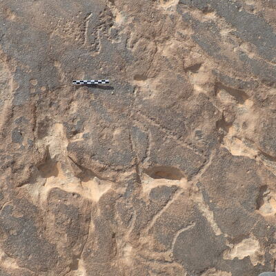 inscription of siglum ELHT Al-Muqāyil.2 Tay 05