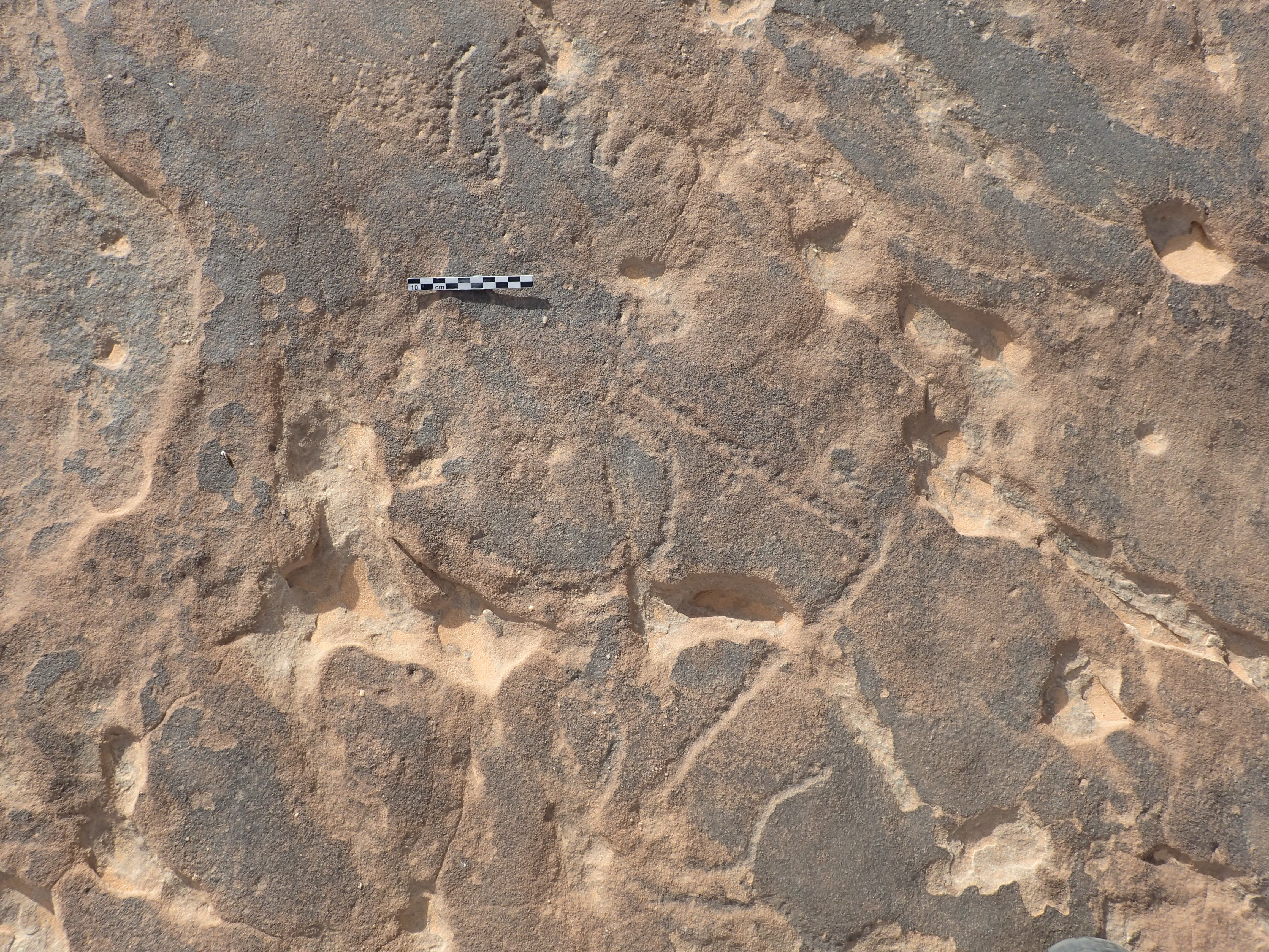 inscription of siglum ELHT Al-Muqāyil.2 Tay 05