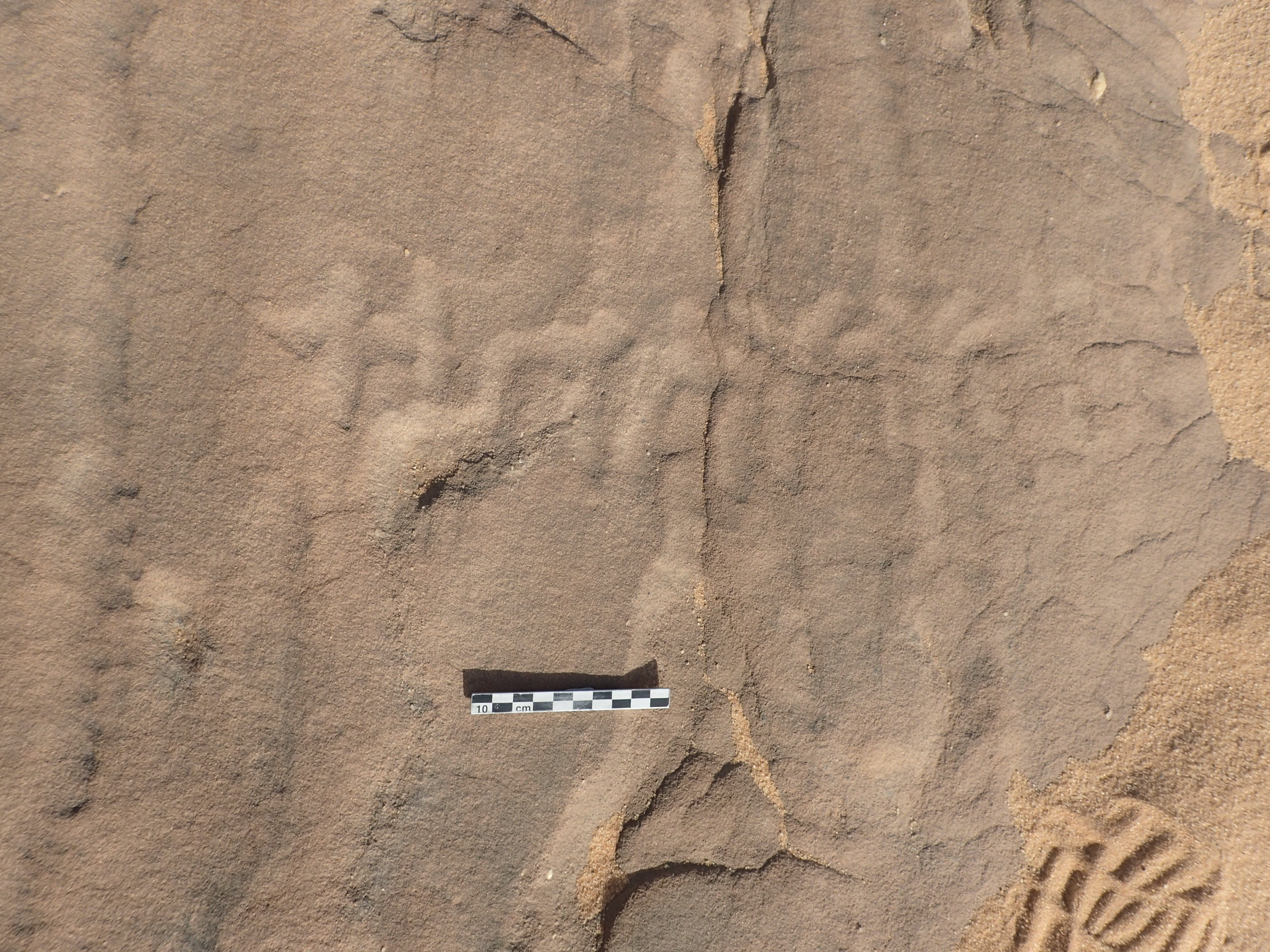 inscription of siglum ELHT Al-Muqāyil.2 Tay 06