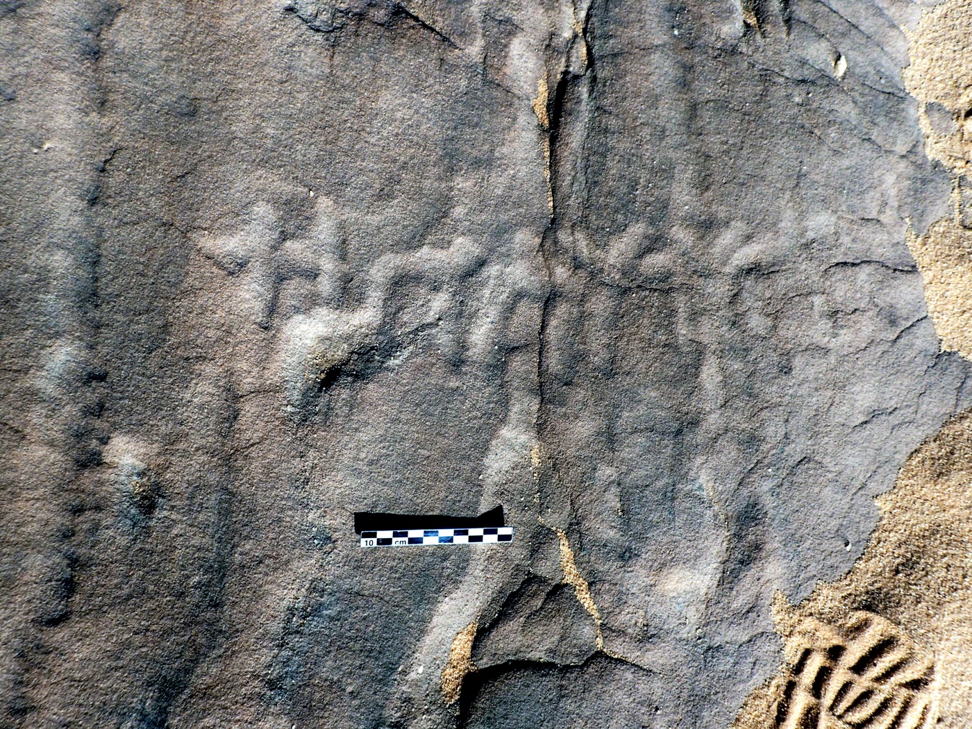 inscription of siglum ELHT Al-Muqāyil.2 Tay 06