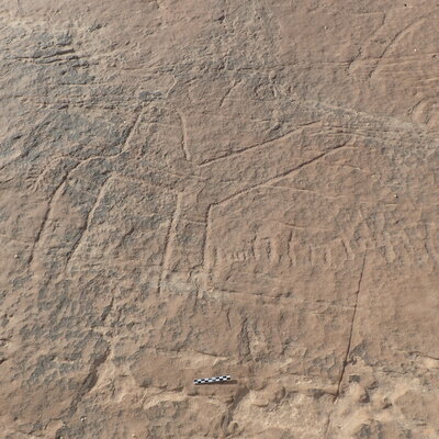inscription of siglum ELHT Al-Muqāyil.2 Tay 07
