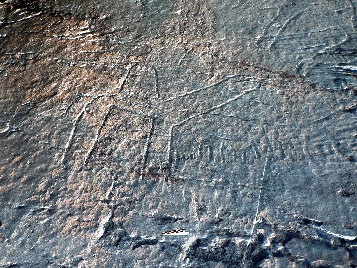 inscription of siglum ELHT Al-Muqāyil.2 Tay 07
