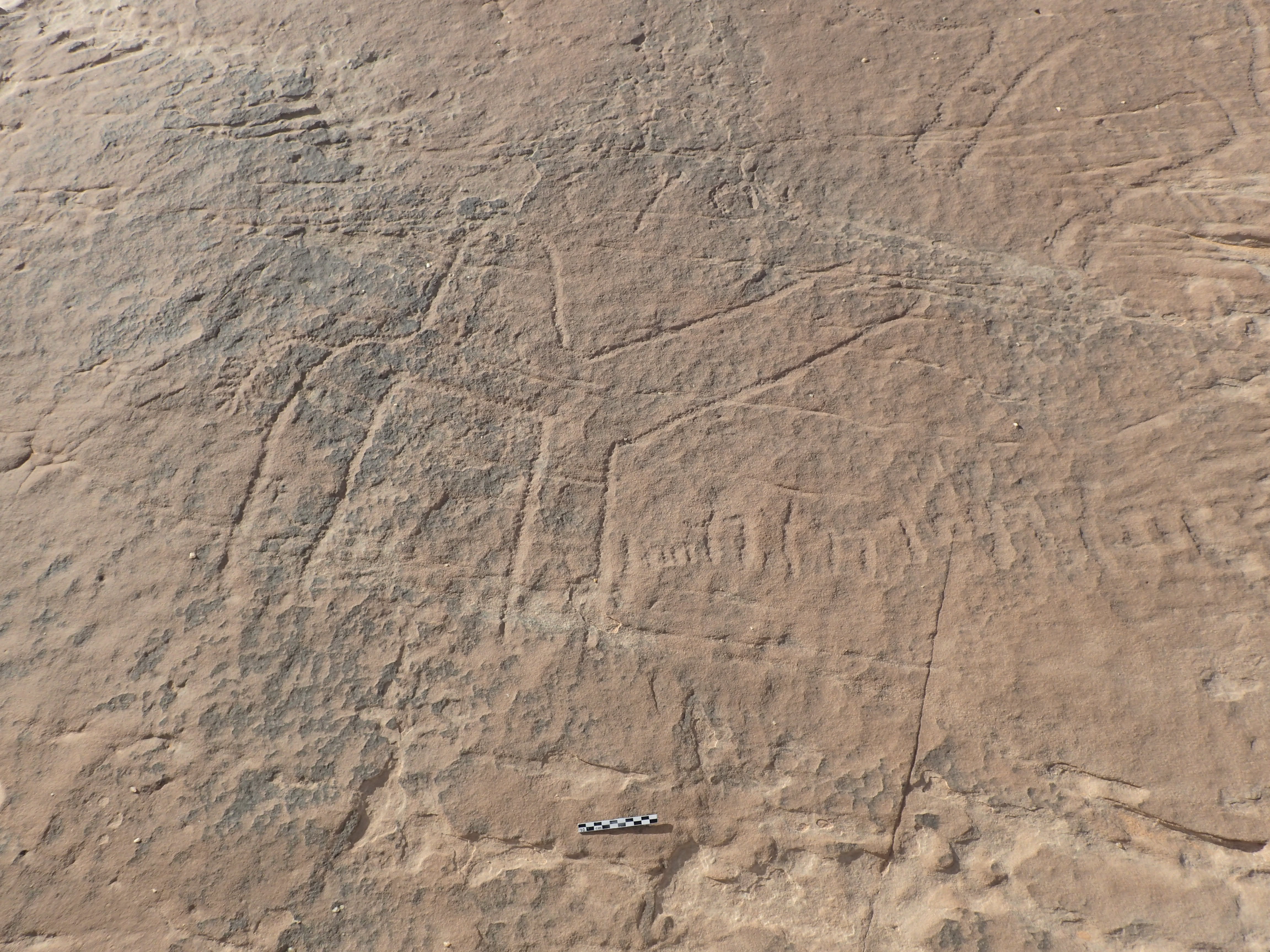 inscription of siglum ELHT Al-Muqāyil.2 Tay 07