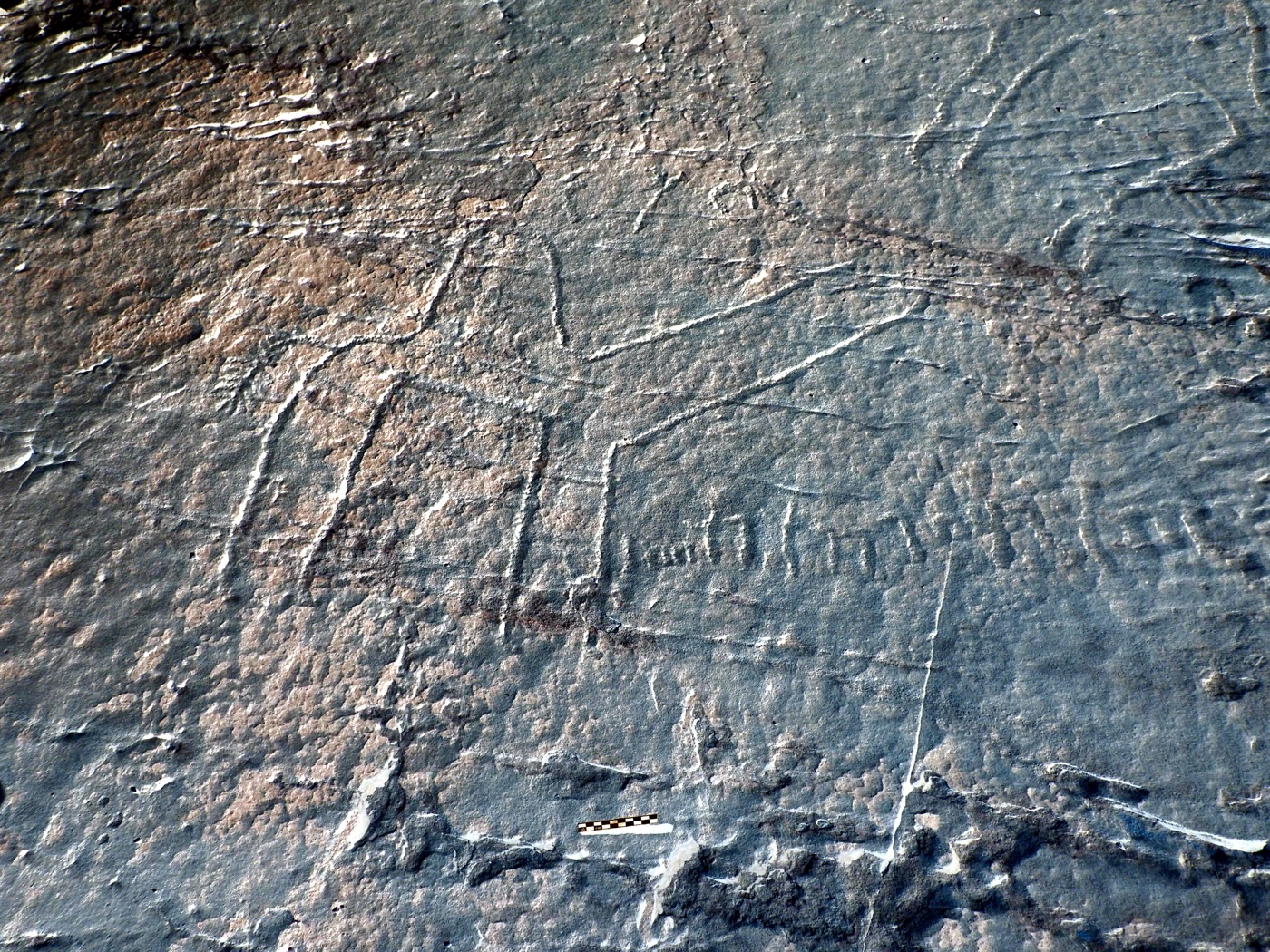 inscription of siglum ELHT Al-Muqāyil.2 Tay 07