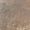 inscription of siglum ELHT Al-Muqāyil.2 Tay 07