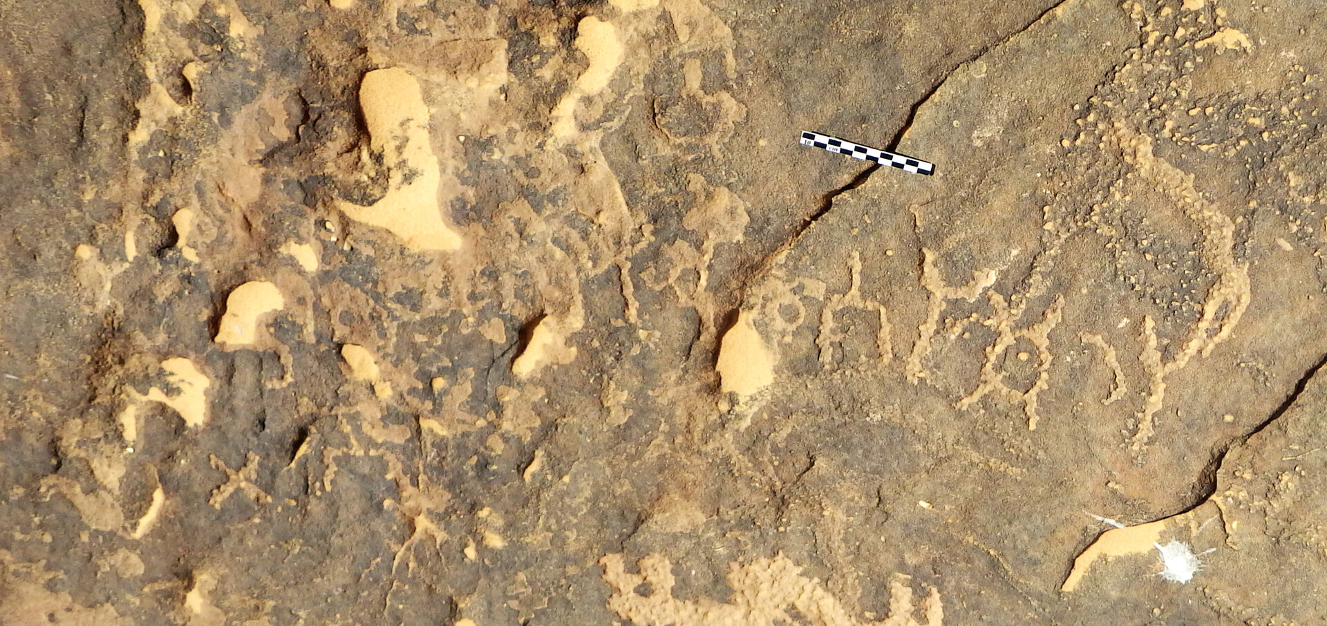 inscription of siglum ELHT Al-Muqāyil.3 ThamB 01