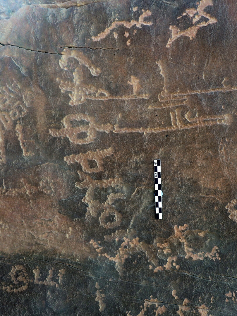 inscription of siglum ELHT Ghayrān al-Ḥammām_al-Muǧaddar Tay 2